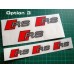 Audi RS Brake Decals