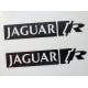 Jaguar Racing Monochrome Brake Decals