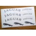 Jaguar XF Brake Decals